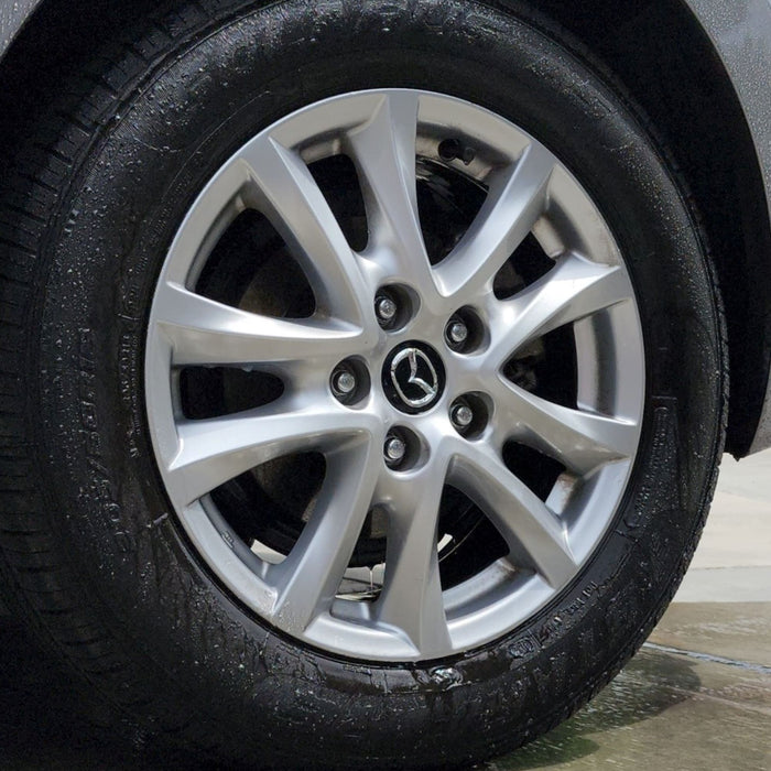 IronXtreme™ - Iron Contamination Remover Iron Remover DETAILER'S CHOICE, INC.