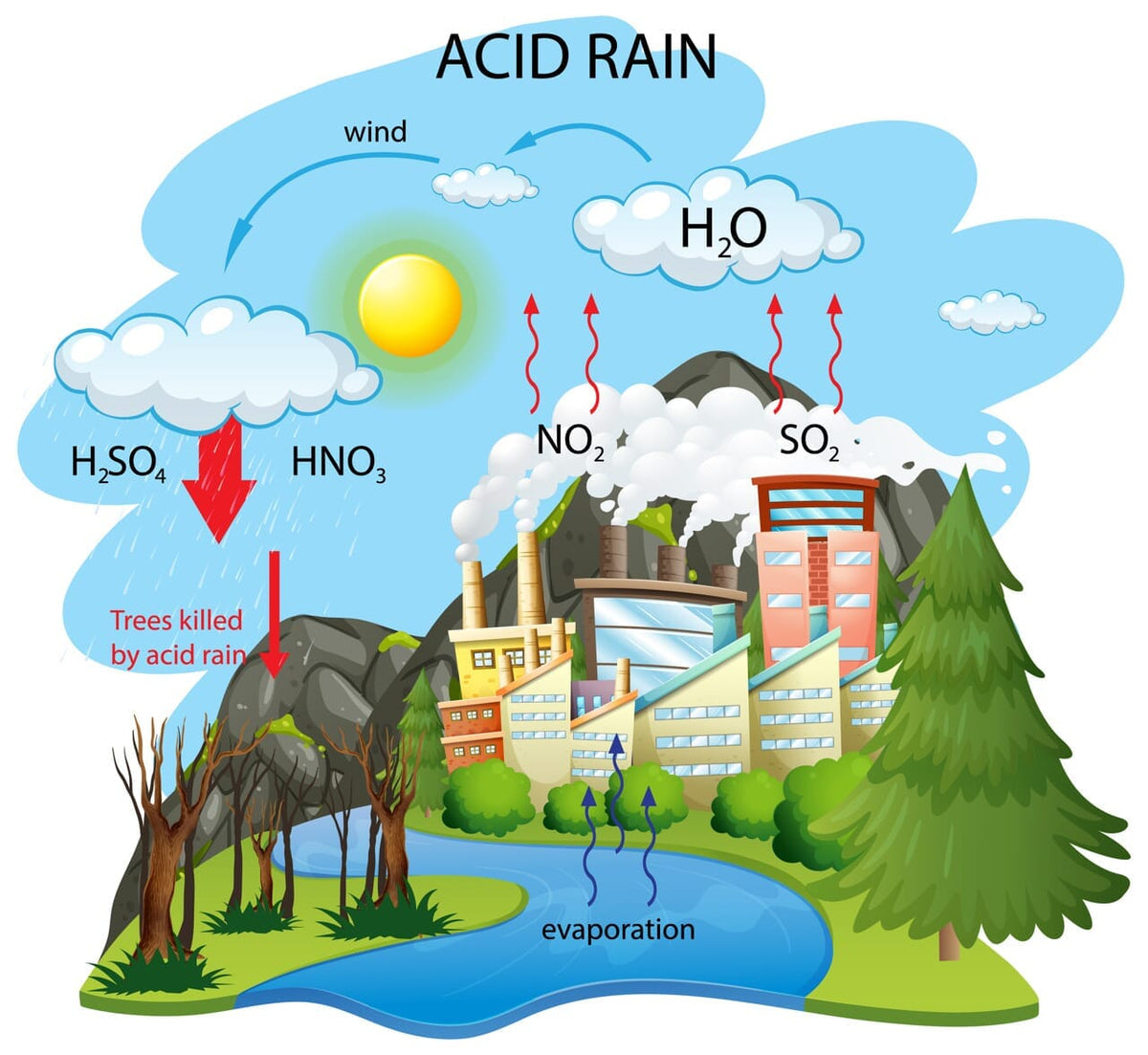 How Acid Rain Affects Cars and How to Prevent Damage — Detailers Choice ...