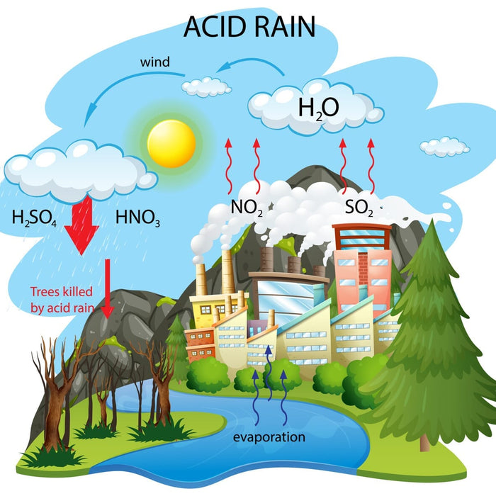 How Acid Rain Affects Cars and How to Prevent Damage